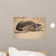 Green Sea Turtle Laniakea Wall Decal Design 2