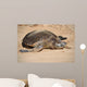 Green Sea Turtle Laniakea Wall Decal Design 2