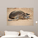 Green Sea Turtle Laniakea Wall Decal Design 2