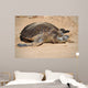 Green Sea Turtle Laniakea Wall Decal Design 2