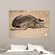 Green Sea Turtle Laniakea Wall Decal Design 2