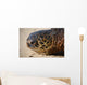 Green Sea Turtle Rests Wall Decal Design 3