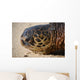 Green Sea Turtle Rests Wall Decal Design 3