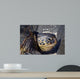Green Sea Turtle Rests Wall Decal Design 2