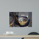 Green Sea Turtle Rests Wall Decal Design 2