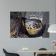Green Sea Turtle Rests Wall Decal Design 2