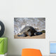 Green Sea Turtle Rests Wall Decal Design 1