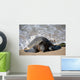 Green Sea Turtle Rests Wall Decal Design 1