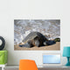 Green Sea Turtle Rests Wall Decal Design 1