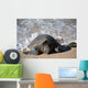 Green Sea Turtle Rests Wall Decal Design 1