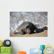 Green Sea Turtle Rests Wall Decal Design 1