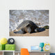 Green Sea Turtle Rests Wall Decal Design 1