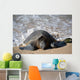 Green Sea Turtle Rests Wall Decal Design 1