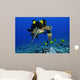 Green Sea Turtle Getting Wall Decal