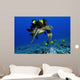 Green Sea Turtle Getting Wall Decal