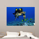 Green Sea Turtle Getting Wall Decal