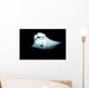 Manta Ray Feeding Night Wall Decal