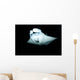Manta Ray Feeding Night Wall Decal