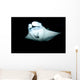 Manta Ray Feeding Night Wall Decal