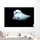 Manta Ray Feeding Night Wall Decal
