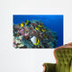 Raccoon Butterflyfish and Lined Wall Decal