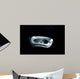 Manta Ray Night Wall Decal