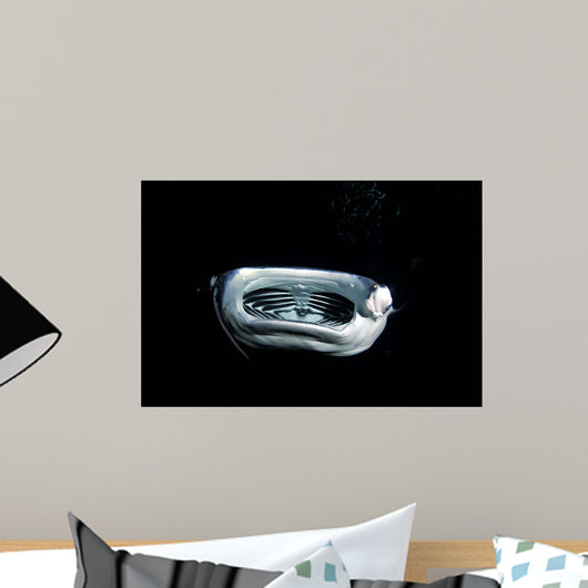 Manta Ray Night Wall Decal