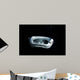 Manta Ray Night Wall Decal