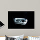 Manta Ray Night Wall Decal