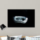 Manta Ray Night Wall Decal