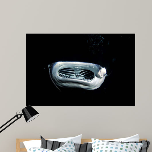 Manta Ray Night Wall Decal