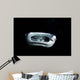 Manta Ray Night Wall Decal
