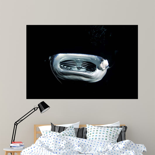 Manta Ray Night Wall Decal