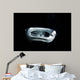 Manta Ray Night Wall Decal
