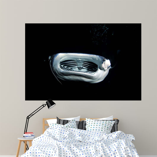 Manta Ray Night Wall Decal