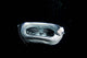 Manta Ray Night Wall Decal