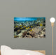 Fish Swimming over Coral Wall Decal