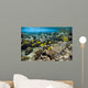 Fish Swimming over Coral Wall Decal