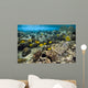 Fish Swimming over Coral Wall Decal