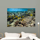 Fish Swimming over Coral Wall Decal