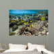 Fish Swimming over Coral Wall Decal