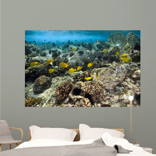Fish Swimming over Coral Wall Decal