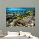 Fish Swimming over Coral Wall Decal