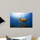 Green Sea Turtle Chelonia Wall Decal Design 28