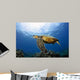 Green Sea Turtle Chelonia Wall Decal Design 28