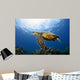 Green Sea Turtle Chelonia Wall Decal Design 28