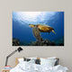 Green Sea Turtle Chelonia Wall Decal Design 28