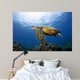 Green Sea Turtle Chelonia Wall Decal Design 28
