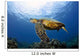 Green Sea Turtle Chelonia Wall Decal Design 28