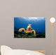 Green Sea Turtle Chelonia Wall Decal Design 27